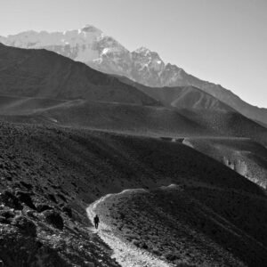 Minimalist Laptop Sleeve - Felt (13-16")